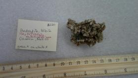 Andradite, Albite