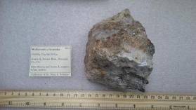 Wollastonite, Grossular