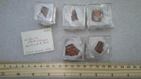 Wulfenite