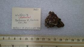 Wulfenite