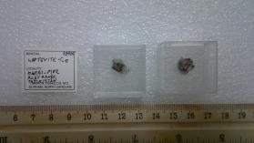 Laptevite (2 pieces)