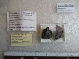 Dellagiustaite (2 Specimens)