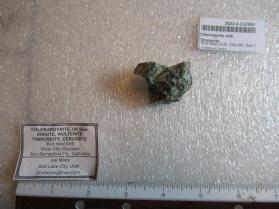 Chlorargyrite with Timroseite