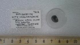 Orlandiite with Chalcomenite