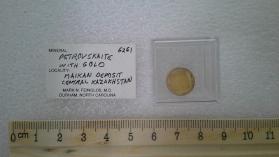 Petrovskaite with Gold