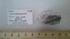 Rimkorolgite