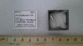 Punkaruaivite