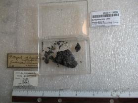 Buttgenbachite with Gerhardtite (6 specimens)