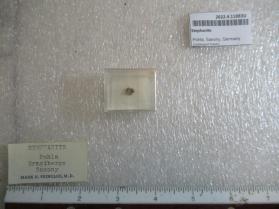 Stephanite