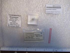 Vigrishinite (2 pieces)