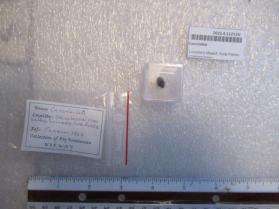 Cancrisilite