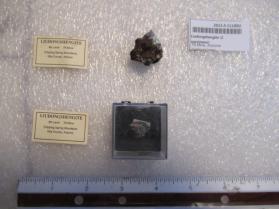 Liudongshengite (2 specimens)