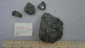 Phlogopite