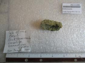 Dickthomssenite
