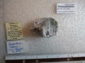 Egorovite (not in IMA)