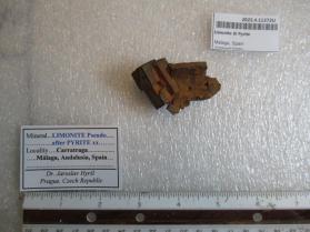 Limonite @ Pyrite