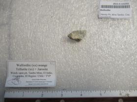 Walfordite