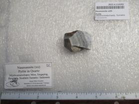 Naumannite with Pyrite