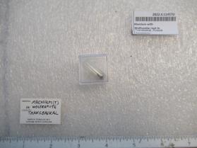 Rhenium with Wolframite (not in IMA)