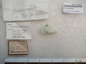 Fluorocannilloite