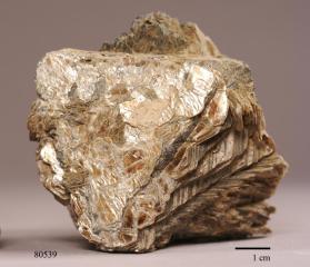 Phlogopite