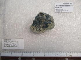 Boleite with Paradacamite