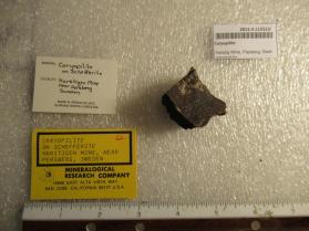 Caryopilite