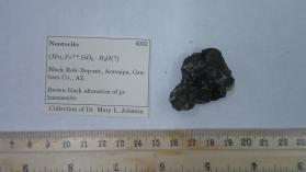 Neotocite