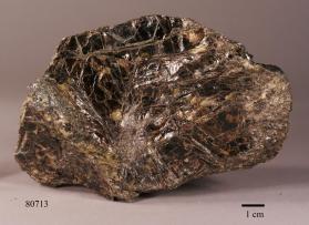 Biotite