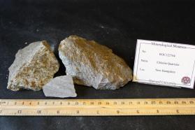 Chlorite Quartzite