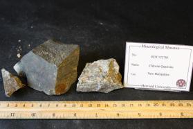 Chlorite Quartzite