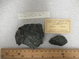 hydrophite