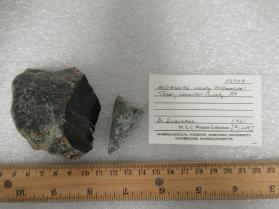 williamsite