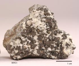 jenkinsite