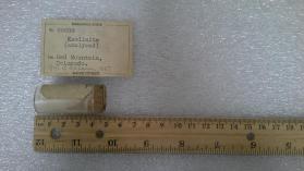 Dickite
