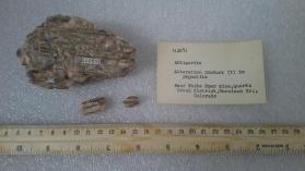 Antigorite