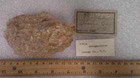 Pyrophyllite