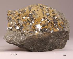 jenkinsite