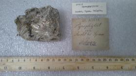 Pyrophyllite