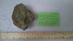 hypochlorite
