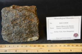Quartz-Muscovite-Biotite-Garnet-Tourmaline Schist