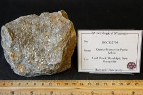Quartz-Muscovite-Pyrite Schist