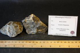 Granitic Migmatite