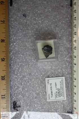 Thorikosite