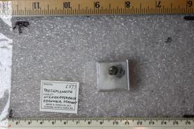 Trechmannite (2 pieces)