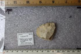 Tosudite