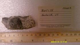 Biotite