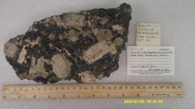 Meionite with Augite
