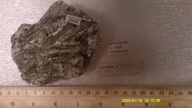 Actinolite