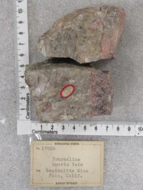 Tourmaline and lepidolite on quartz.